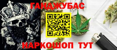 эйфоретик Славгород