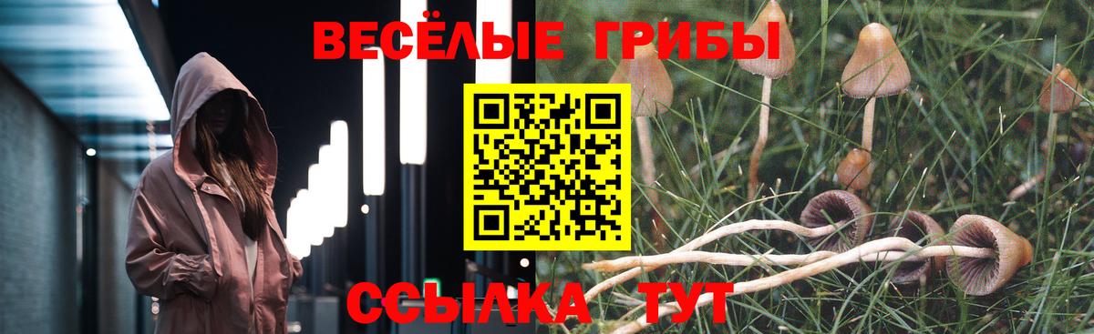 Псилоцибиновые грибы GOLDEN TEACHER  Вход с VPN  Артём 