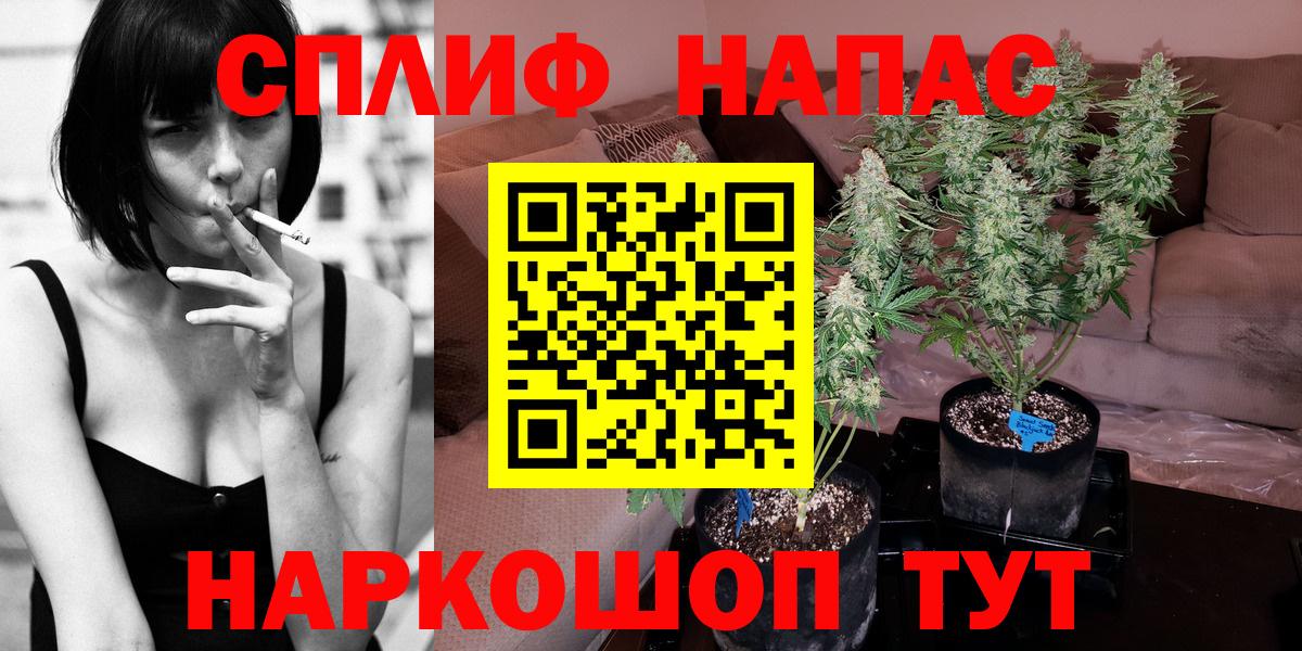 Бошки марихуана марихуана Артём